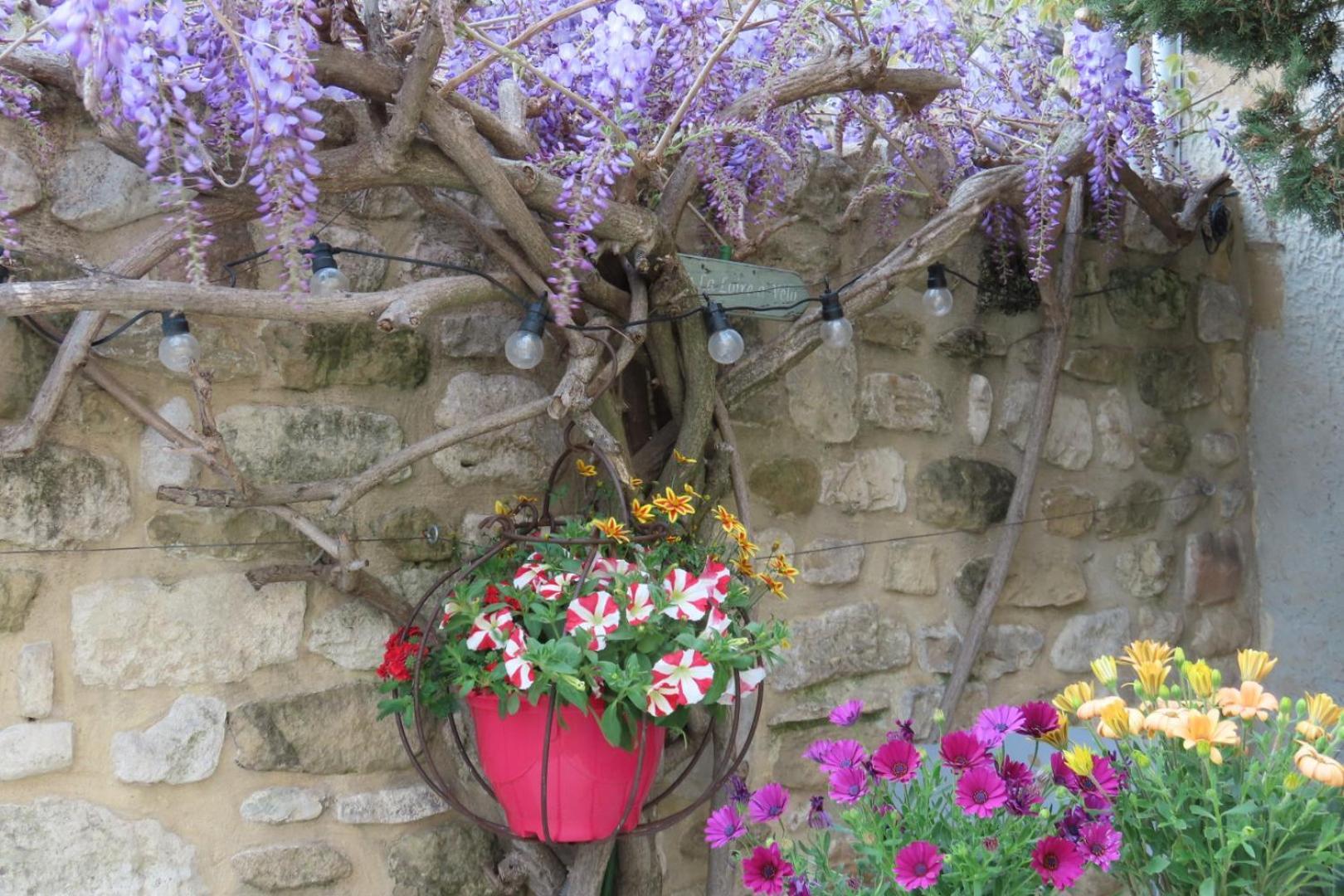La Maison Wisteria Saint-Pantaléon-les-Vignes Exterior foto